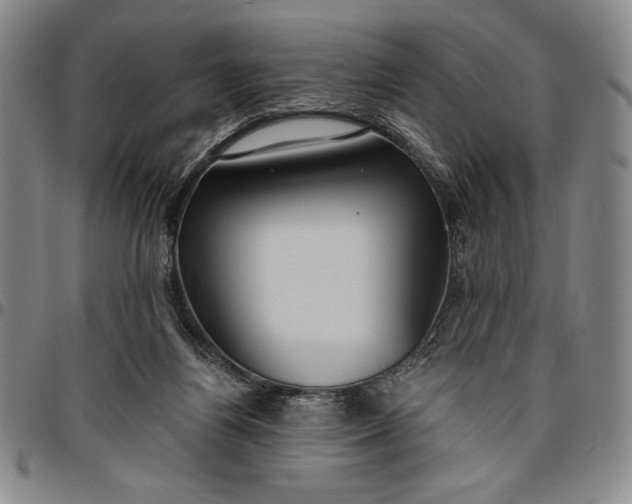 X0000096630164200802191205