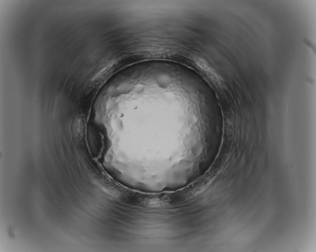 X0000096630165200802191205