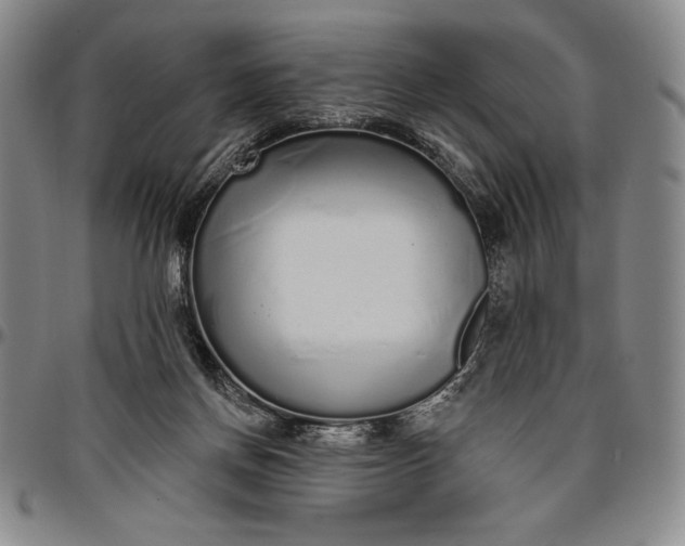 X0000096630166200802191205