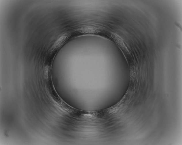 X0000096630167200802191205