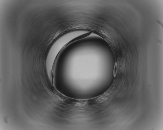 X0000096630168200802191205