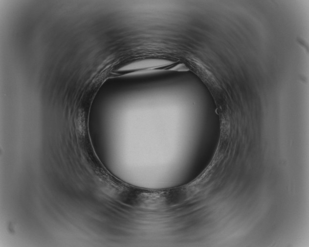 X0000096630170200802191205