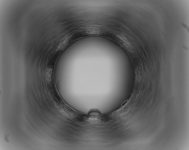 X0000096630171200802191205