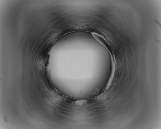 X0000096630172200802191205