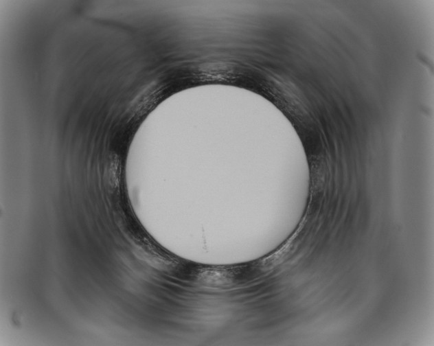 X0000096630174200802191205