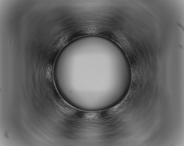 X0000096630175200802191205
