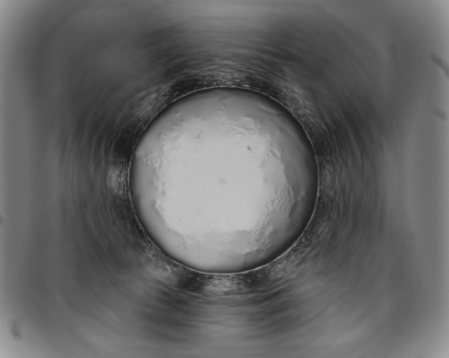 X0000096630177200802191205