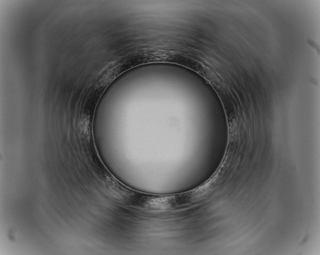 X0000096630178200802191205