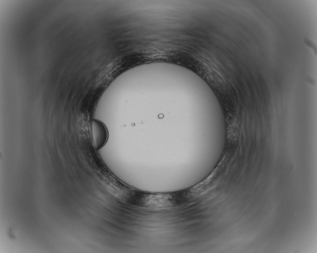 X0000096630179200802191205