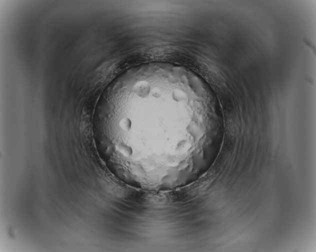 X0000096630181200802191205