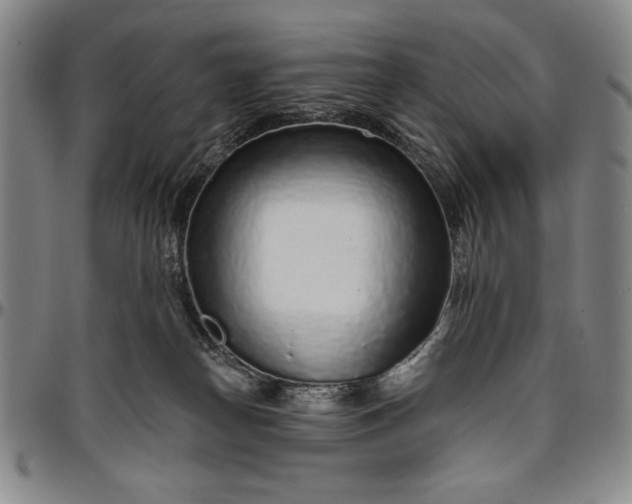 X0000096630182200802191205