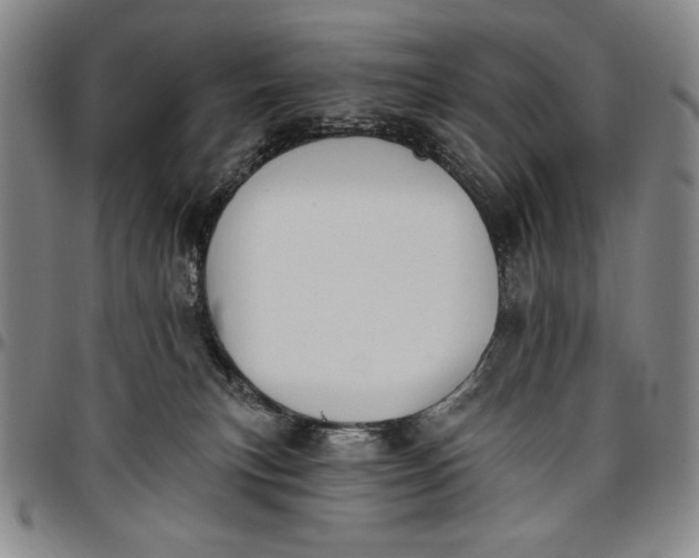 X0000096630183200802191205