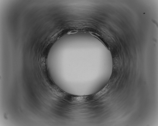 X0000096630184200802191205