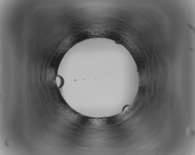 X0000096630187200802191205