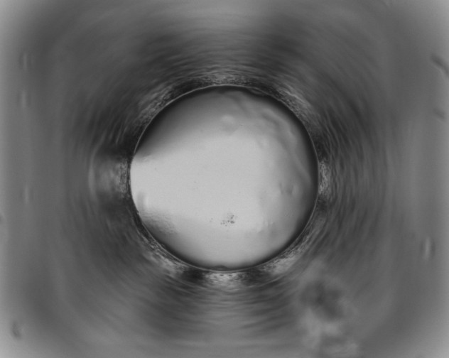 X0000096630189200802191205