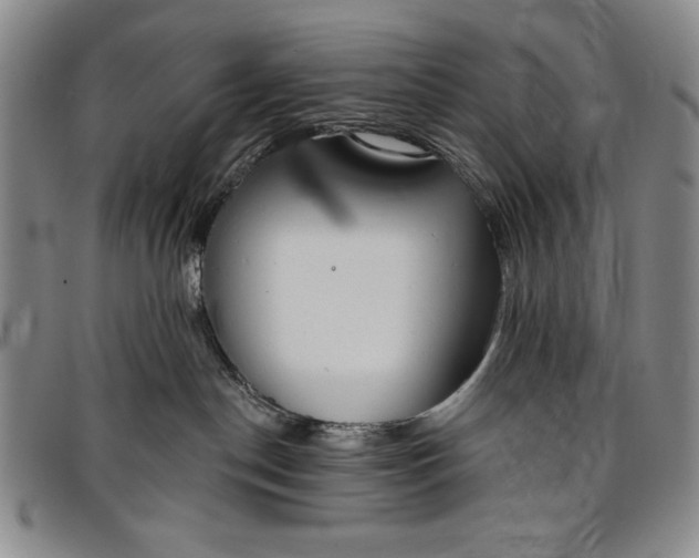 X0000096630190200802191205