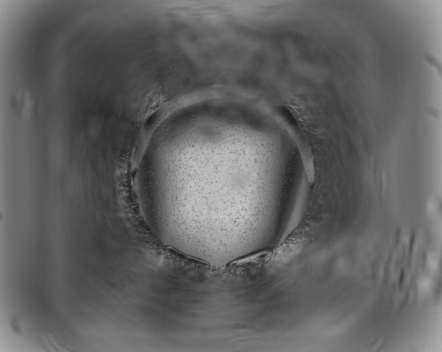 X0000096630192200802191205