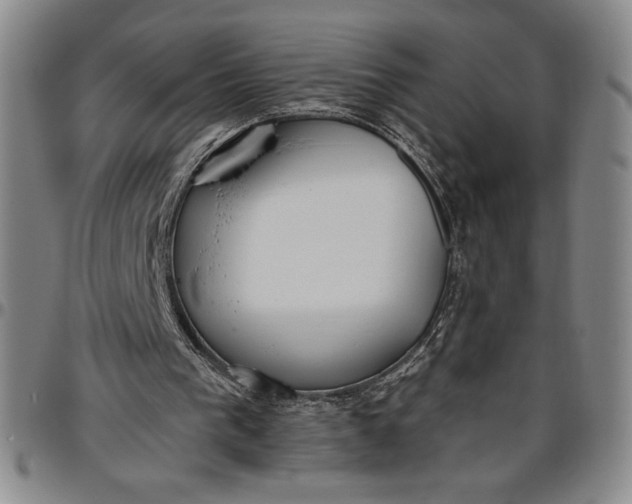 X0000096630193200802191204