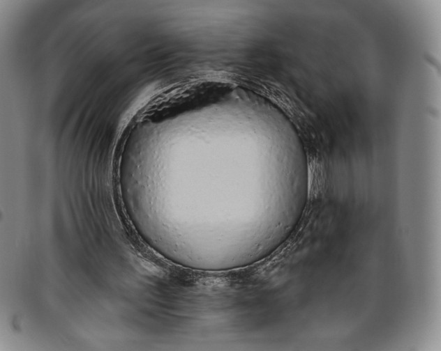 X0000096630195200802191204