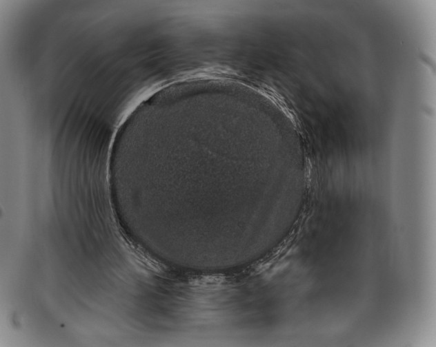 X0000096630196200802191204