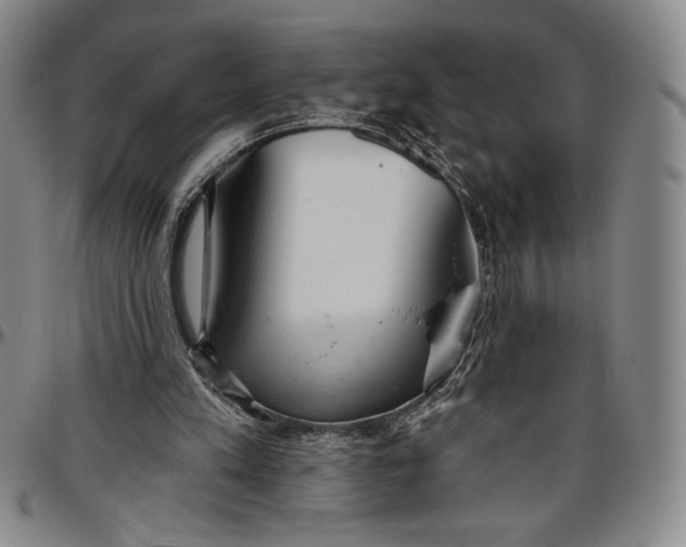 X0000096630197200802191204