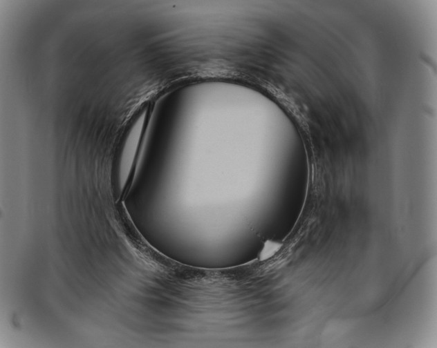 X0000096630201200802191204