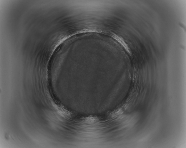 X0000096630204200802191204
