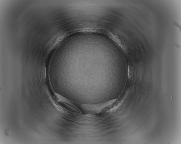 X0000096630205200802191204