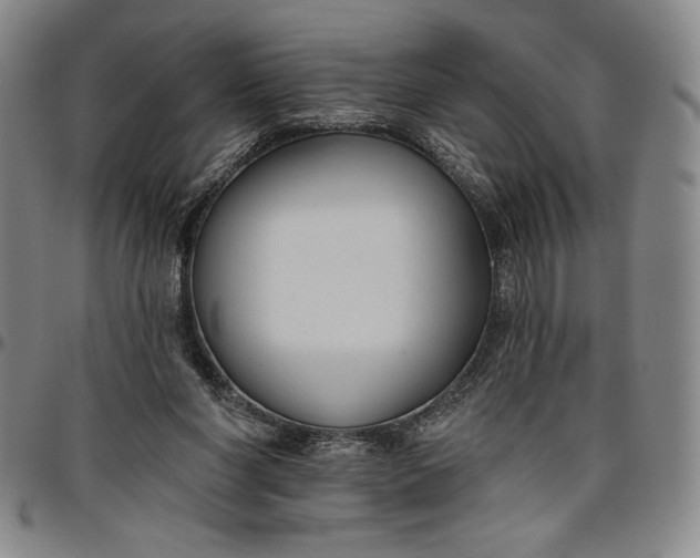 X0000096630206200802191204