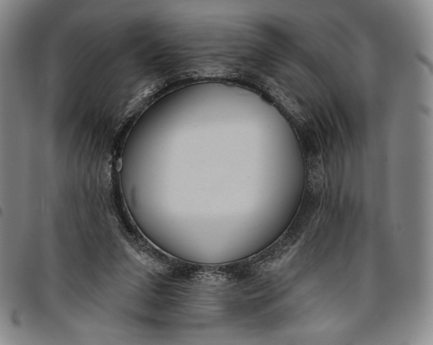X0000096630207200802191204