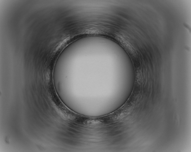 X0000096630208200802191204
