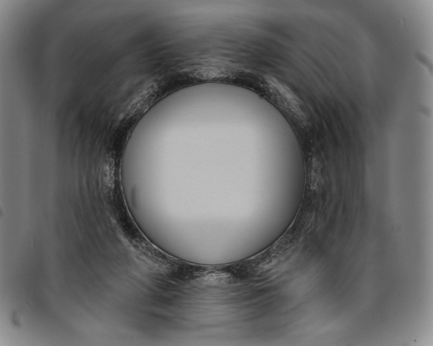 X0000096630210200802191204