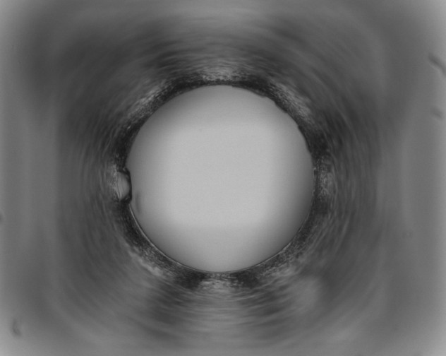 X0000096630211200802191204