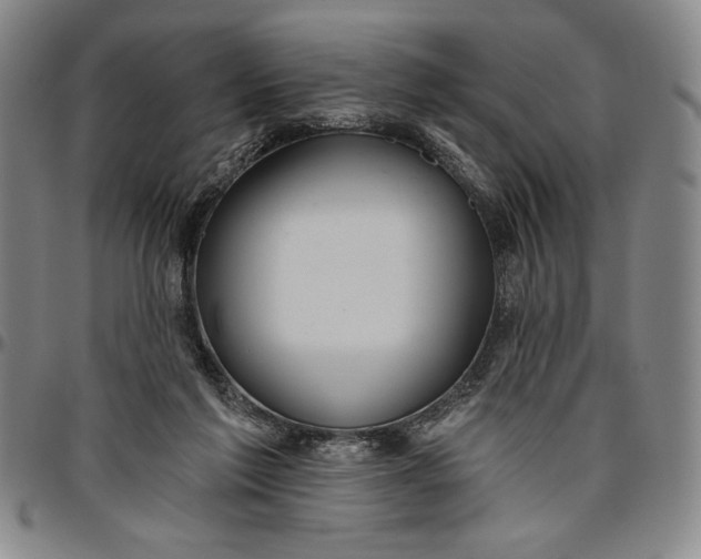 X0000096630213200802191204