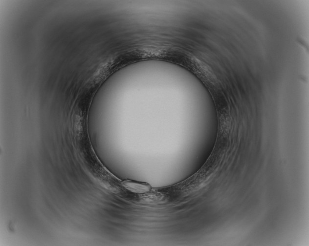 X0000096630215200802191204