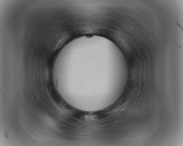 X0000096630216200802191204