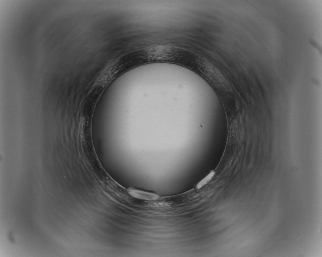 X0000096630217200802191204