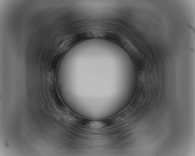 X0000096630218200802191204