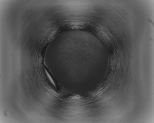 X0000096630219200802191204