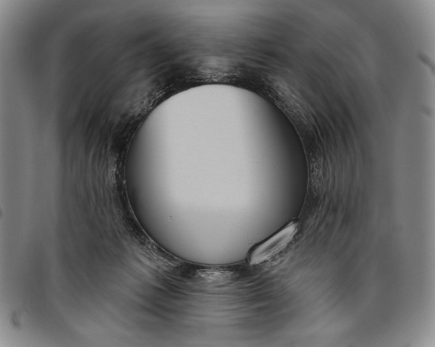 X0000096630221200802191204