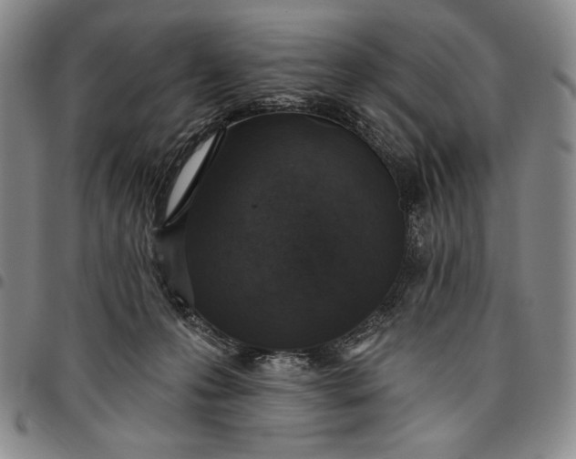 X0000096630223200802191204