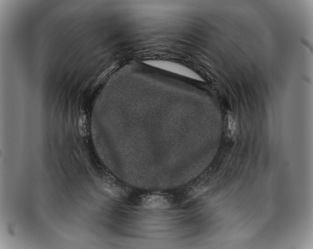 X0000096630224200802191204
