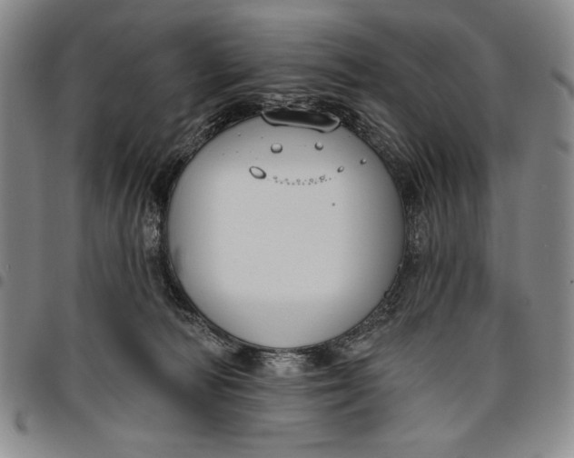 X0000096630226200802191204