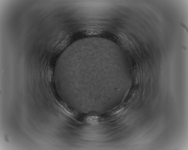 X0000096630227200802191204