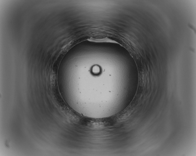 X0000096630228200802191204
