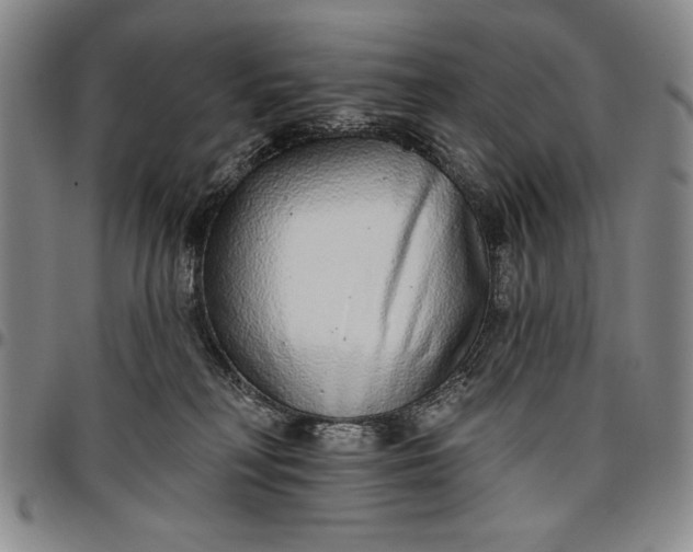 X0000096630230200802191204