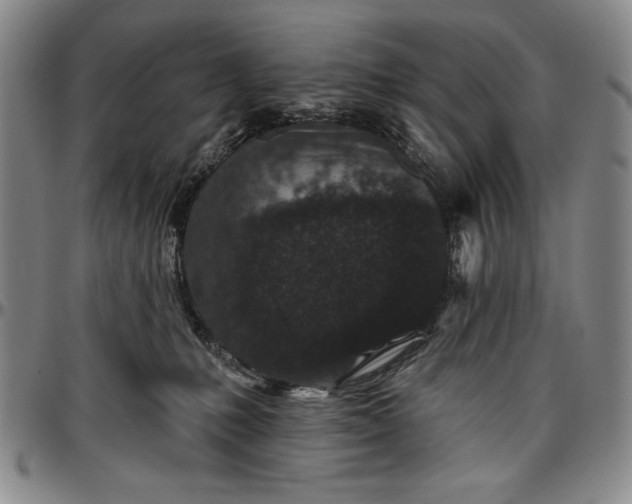 X0000096630231200802191204