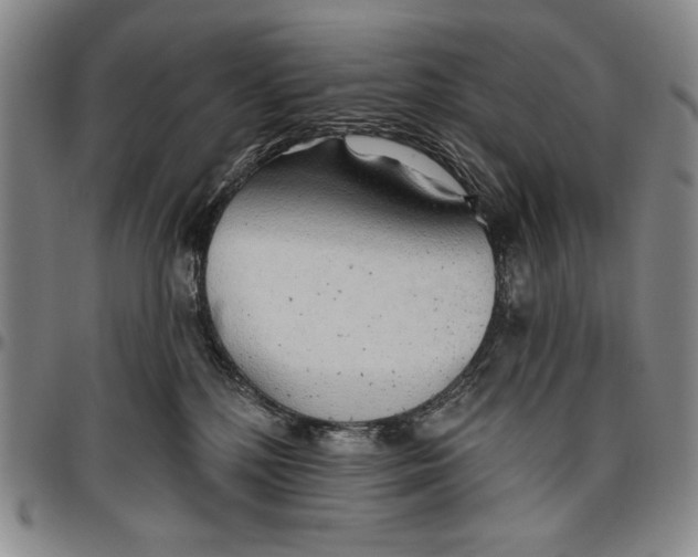 X0000096630232200802191204