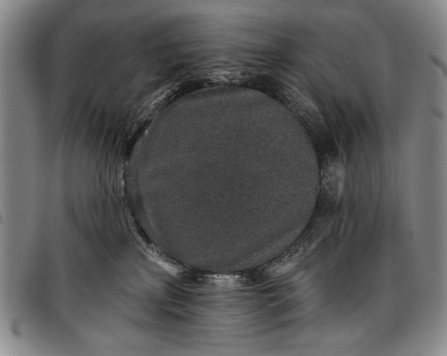 X0000096630233200802191204