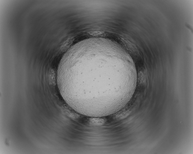 X0000096630234200802191204